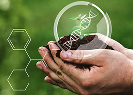 New breeding techniques